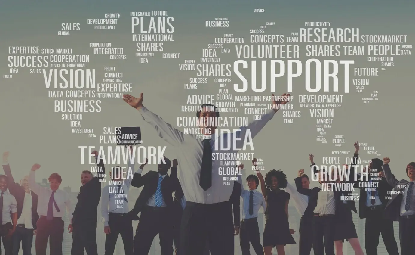 Concept of volunteering, future expertise, future ideas, and growth plans.